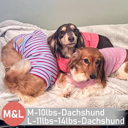 2Pack Dog Sweater for Small Dogs Soft Pet Coats Fleece Sweatshirt (Medium (7-11lbs) / 7# Stripe+red)