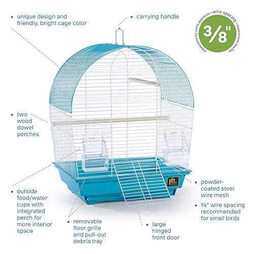 South Beach Dome Top Bird Cage (Dome - Teal / 10.6"L x 0.6"W x 18.1"H)