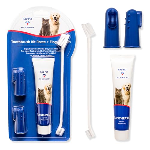 Rad Health Dental Kit (Toothbrush Kit)