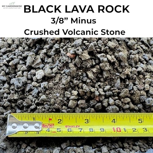 Lava Rocks for Plants (Black Lava Rocks / 1 qt)
