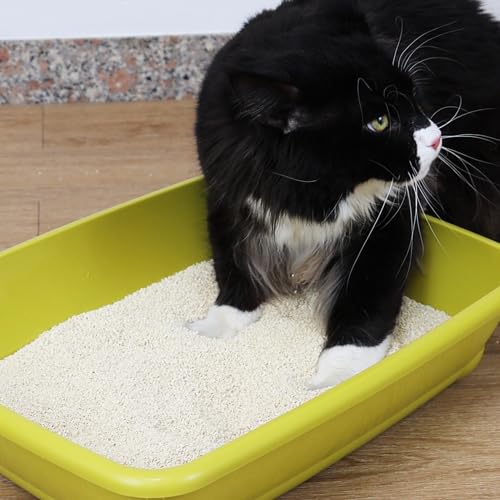 Tofu Clean Cat Litter (4.5 kg (Pack of 1) / NATURAL)