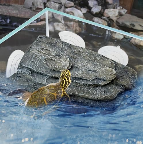 Turtle Basking Platform (Platform)