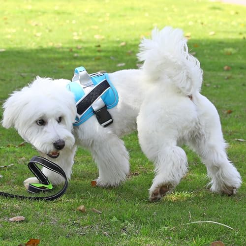 Dog Harness No (X-Small (Pack of 1) / OceanicBlue)