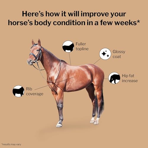 Weight Gain Crumble Fresh Packs for Horses (28 Day Supply)