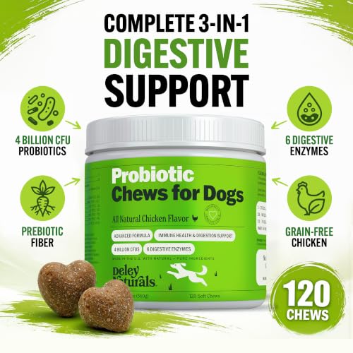 Dog Probiotic Chews (Probiotics - 120 Soft Chews)
