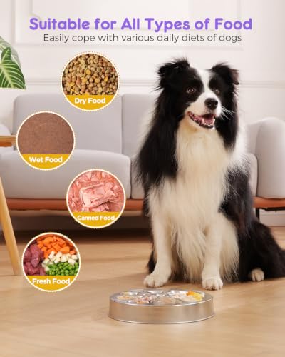 2 Pack Slow Feeder Dog Bowls (Large-2Pack)