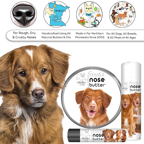 Nova Scotia Duck Tolling Retriever Unscented Nose Butter (Nova Scotia Duck Tolling Retriever / 8 Ounce)