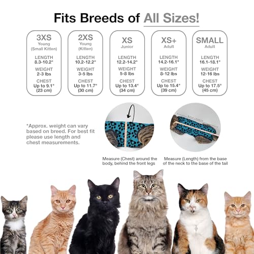 Cat Recovery Suit Female and Male (Grey / XSmall+)