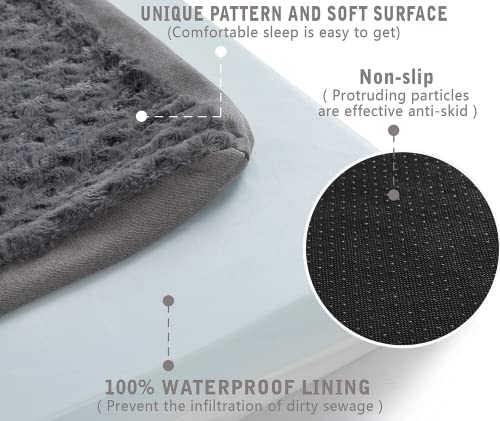 Orthopedic Memory Foam Bed for Large Dogs (Rose Plush / Large-35"x 22" x 3")