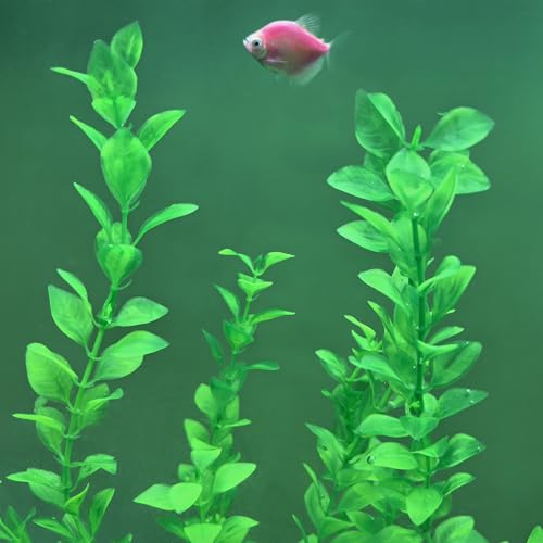 Aquarium Plants 24in (Green(style F))