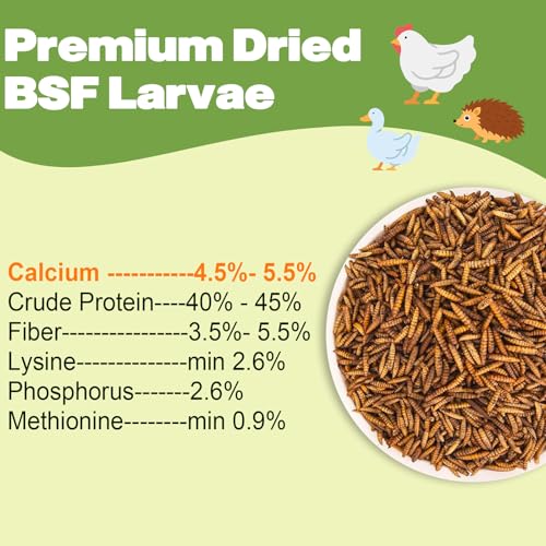 10LB Bulk Dried Black Soldier Fly Larvae