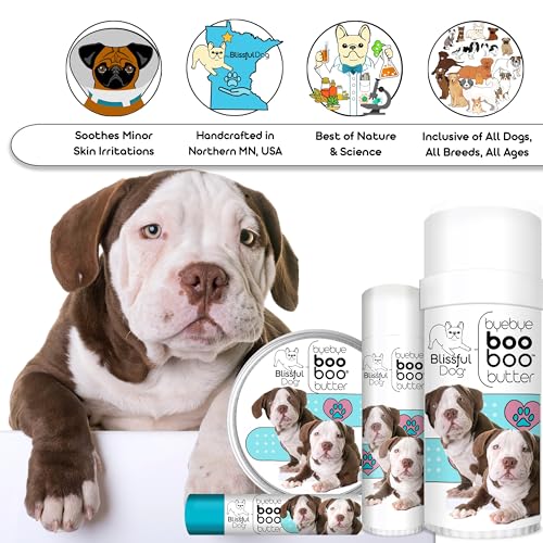 BB-AMBULL-16OZ Rottweiler Boo Butter (16 Ounce / American Bulldog)