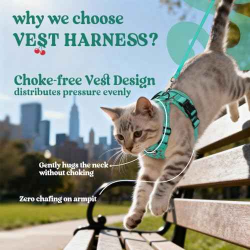 Cat Harness and Leash Set (Xs / Cherry Grove)