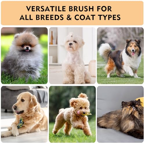 Slicker Brush for Dogs & Cats