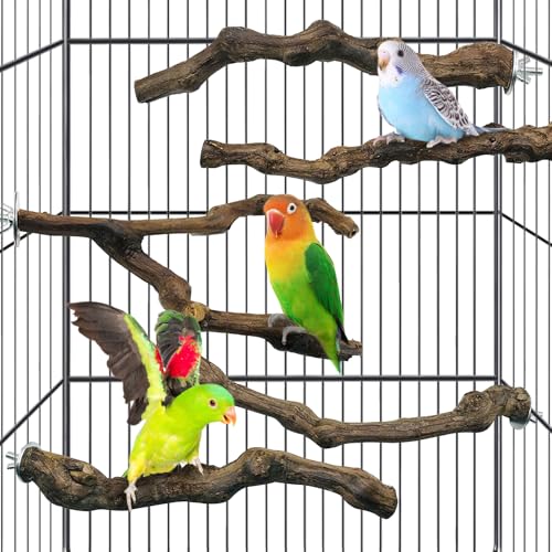 5pcs Natural Parrot Perch for Cage Wooden Bird Perches Grape Bird Stick Parakeet Climbing Standing Branches Toy Chewable Cage Accessories for Small Budgies Cockatiels Lovebirds Budgies