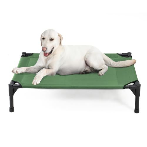 Elevated Dog Bed for Large Dogs (Green / Large)
