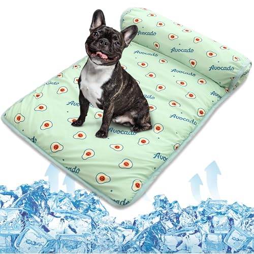 Cooling Dog Bed (Small / Green)