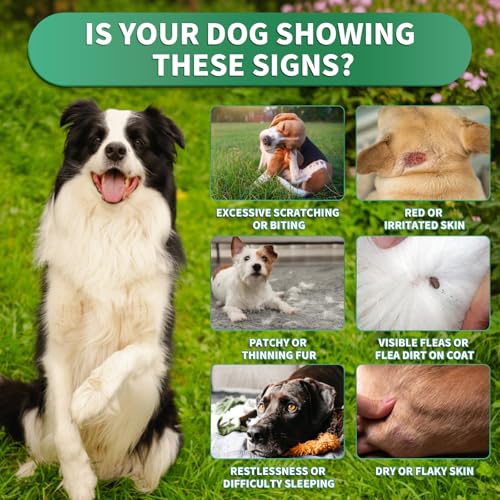 Flea and Tick Prevention for Dogs Chewables