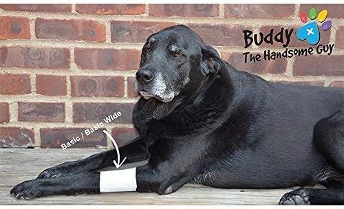 Basic Leg Bandages for Dogs (2XS/XS 20-Pack)
