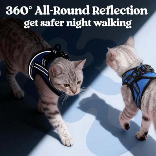Cat Harness and Leash Set (L / Blue)