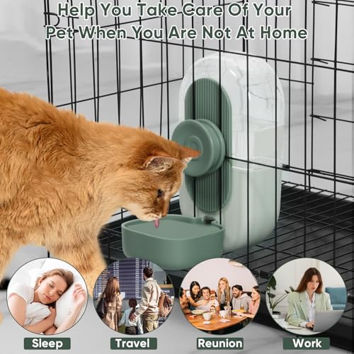 28oz Rabbit Water Bottle Dispenser (Green)