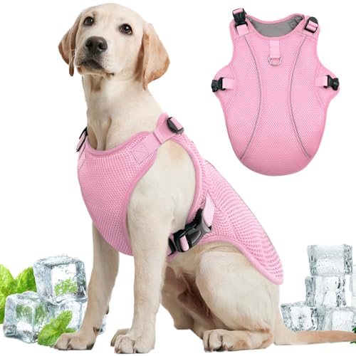 Dog Cooling Vest for Large Dogs with with Sun Protection (Xxl (Chest Girth:31.1'') / Berry Pink)