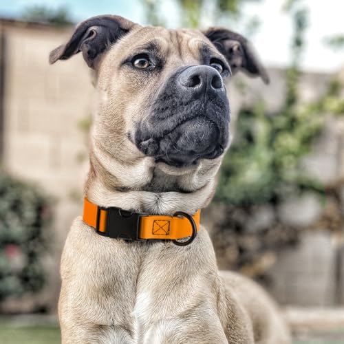 Biothane Waterproof Dog Collar with Quick Release Buckle Strong Coated Nylon Webbing with Odor (1"W by 15-25"L / Tangerine Orange)