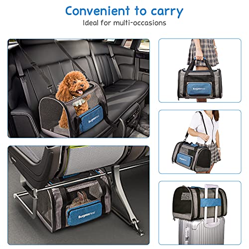 Cat Carrier for Cats up to 20 Lbs (Blue / 17.7"L x 12.0"W x 12.5"H)