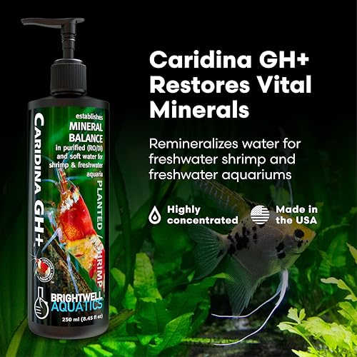 Caridina GH+ Shrimp Mineral Supplement RO (125 ml)