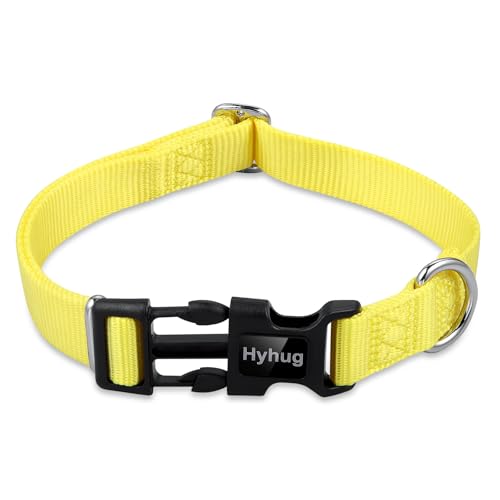 Yellow Dog Collar for Medium Dogs (Medium / Luminous Yellow)