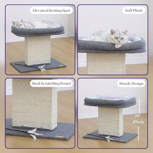 Cat Perch with Washable Replaceable Bed & Wide Sisal Scratching Post