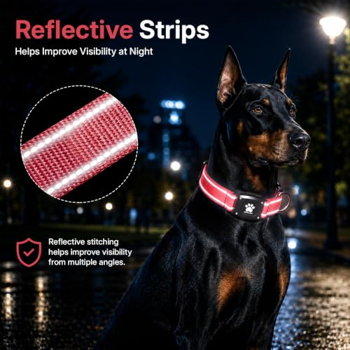 GPS Dog Collar with Tracker (Red / XS(10.5''-13.5''))