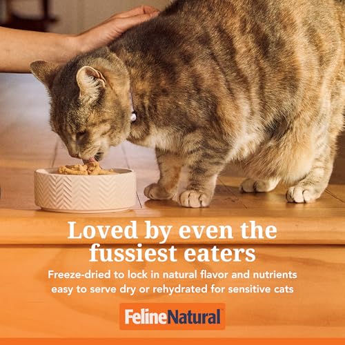 High Protein Freeze Dried Dry Cat Food with 98% Meat (3.5 Ounce (Pack of 1))