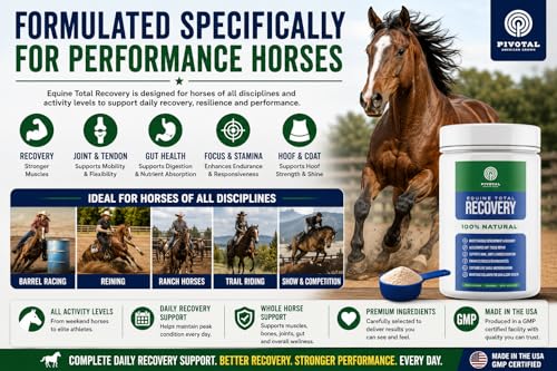 Feeds Equine Total Recovery Supplement (580 Grams)