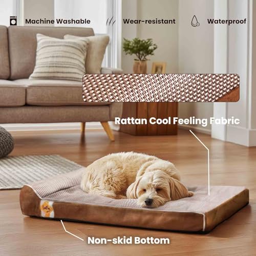 Orthopedic Dog Bed (34.0"L x 22.0"W x 5.5"Th / Brown)