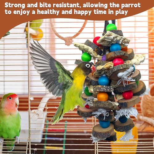 Bird Toys Parrot Toys (E: Fruit Wood)