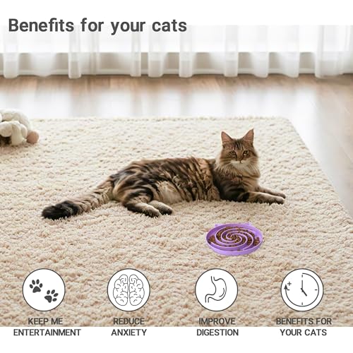 Slow Feeder Cat Bowl (Purple and Pink)