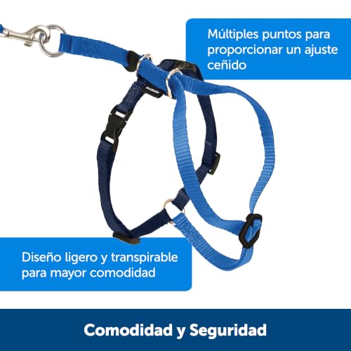 Come With Me Kitty Harness and Bungee Leash (Medium (Pack of 1) / Black)