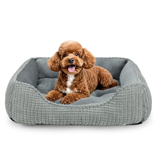 Rectangle Washable Orthopedic Dog Bed for Small (Light Gray / S(20’’x 19’’x 6’’))