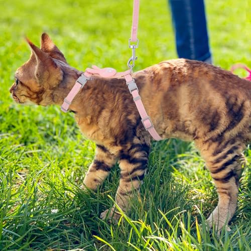 Cat Harness and Leash Set (Rabbit)