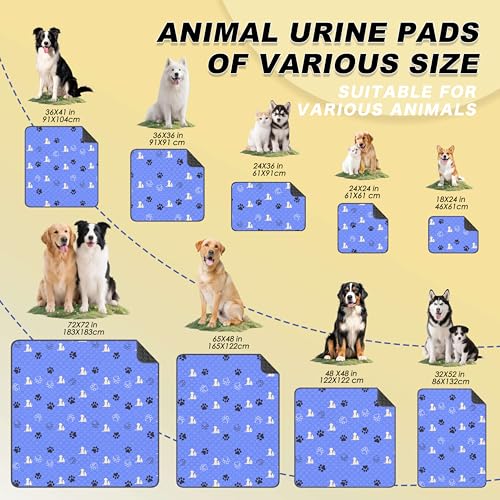 Washable Pee Pads for Dogs (Blue / 24"x24" (Pack of 2))