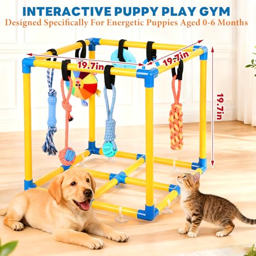 Puppy Play Gym for Small Dogs 10 Hanging Toys (Yellow & Blue)
