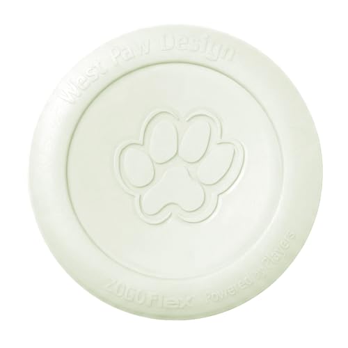 Zisc High Flying Disc Dog Toy (Small / Glow)