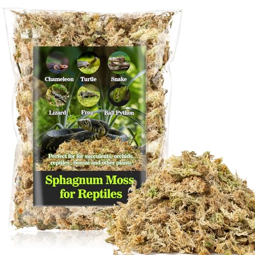Sphagnum Moss for Reptiles & Plants (3.5 Ounces / Yellow Green)