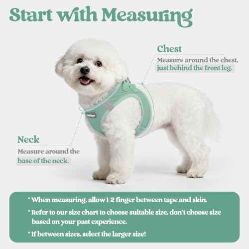 Dog Harness Small Sized and Leash Set (Moss Green / S (chest: 15.1 - 16.5"))
