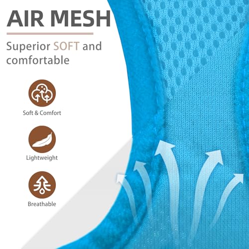 Dog Harness Collar and Leash Set No Pull for Small Medium Sized (Solid LightBlue / S (CHEST 14.5"-16"))