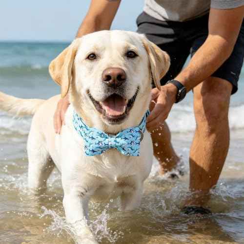 Dog Collar Boy Shark Print Dog Collar with Bow Tie (Summer Shark / X-Small (Pack of 1))
