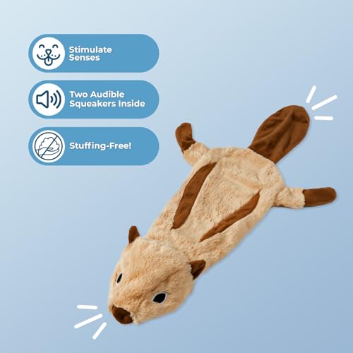 2-in-1 Stuffless Squeaky Dog Toy - Squirrel, Small (Squirrel / Small)