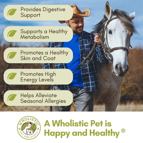 Horse Supplement for Total Body Health