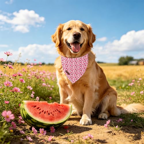 Summer Dog Bandana (Pink Watermelon / Small (Pack of 1))